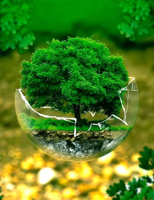 imagem de arvore em vidro de cristal